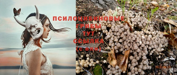 герыч Абинск