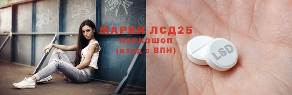 ГАЛЛЮЦИНОГЕННЫЕ ГРИБЫ Майский