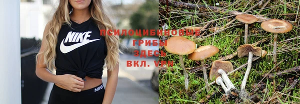стаф Абдулино